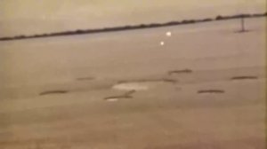 вот как образуются круги на полях
