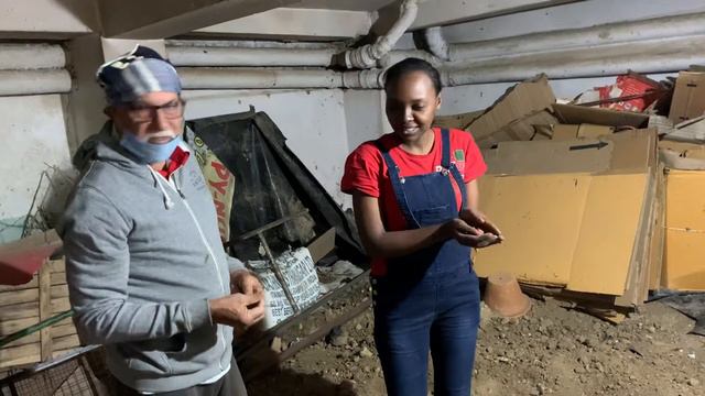 Gardening Tips @ Happy Nursery, Gaya смотреть онлайн