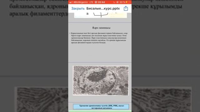 Бисалиева Р.Н. Клетка биологиясы. Лекция 11