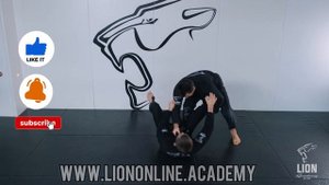 проходы в ноги в джиу джитсу ммa, bjj, онлайн академия,  мма