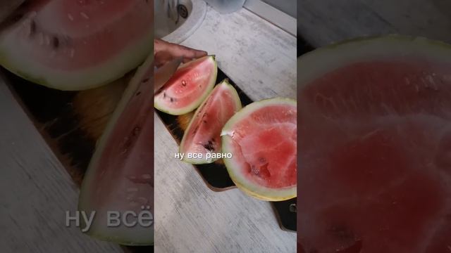 Второй год арбузы не получаются, ну что за оказия