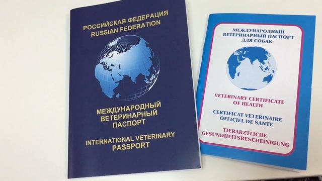 Ветеринарный паспорт для кошек и собак смотреть онлайн