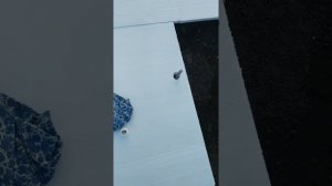 Теплый бассейн,  подготовка теплого основания под  бассейн  ,  из  экструдированного пенополистирол