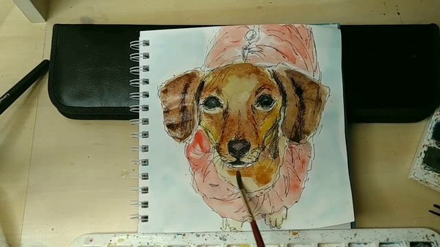 6. Как рисовать таксу. Акварель шаг за шагом с объяснениями. смотреть онлайн