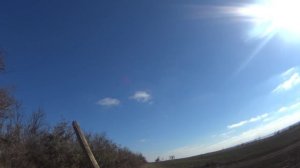 охота на фазана (Крым 2014)