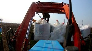 Разбрасываем удобрение на озимой пшеницы на мтз 82 и мтз 1025