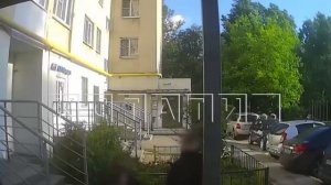 В Нижнем Новгороде простились с 12-летнем мальчиком, которого зверски убил сверстник