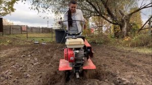 Мотоблок Ока, фрезеруем, сеем сидераты 2021