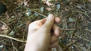 Как быстро накопить на мотоцикл или поиск металла без металлоискателя