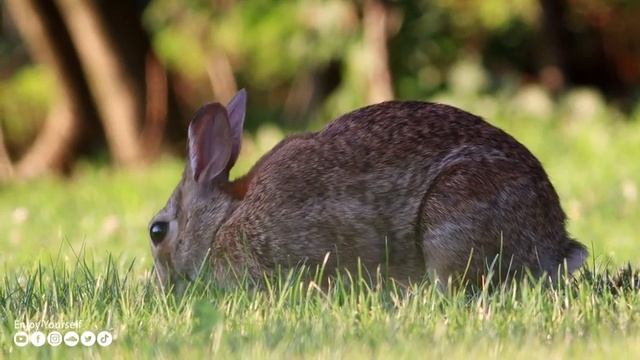 Расслабляющая музыка успокаивает нервы ? Музыка лечит болезни сердца и восстанавливает здоровье #20 смотреть онлайн