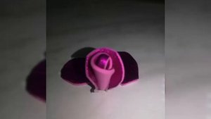 День бабушек и дедушек