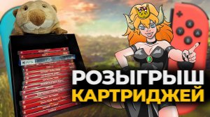 Бобёр дарит картриджи Nintendo switch подписчикам BOOSTY - играем в Принца и Legend of Grimrock