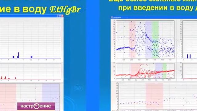 Академик Петросян. Моллюски. Биотестирование