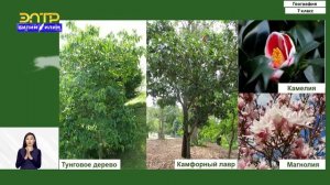 7-класс | География  | Природные зоны Евразии