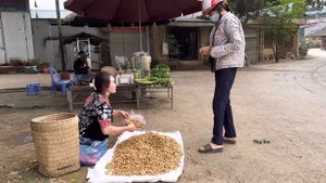 Harvesting Peanuts goes to the market sell, Vàng Hoa, king kong amazon