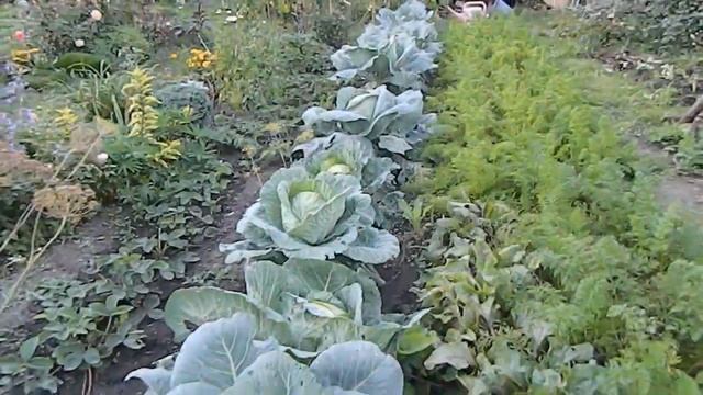 Последний день лета Обзор сада смотреть онлайн