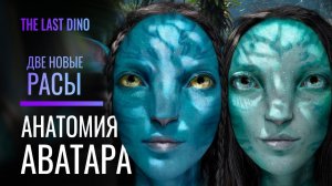 Биология Аватара: Разница между Оматикайя и Меткайина