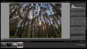 Как обработать HDR фотографию в Lightroom/Photoshop. Сказочный лес.