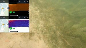 Правду ли показывает Deeper CHIRP+ сонар? Проверка показаний эхолота Deeper CHIRP+. (Растительность
