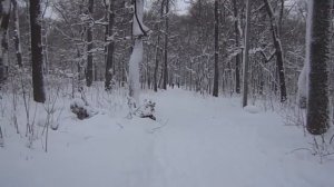 Бег на лыжах для здоровья