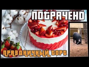 Потрачено. Праздничный торт. Лучшие приколы 2021, смешные видео и фейлы