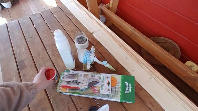 Обзор покупок и подарков для дачи! Удивительная находка на аристолохии! 28.03.2023. смотреть онлайн