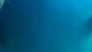 МОРСКИЕ ПРИКЛЮЧЕНИЯ