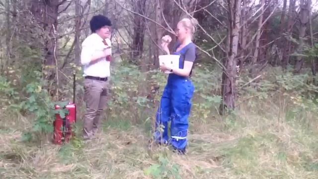 "Гриб" смотреть онлайн