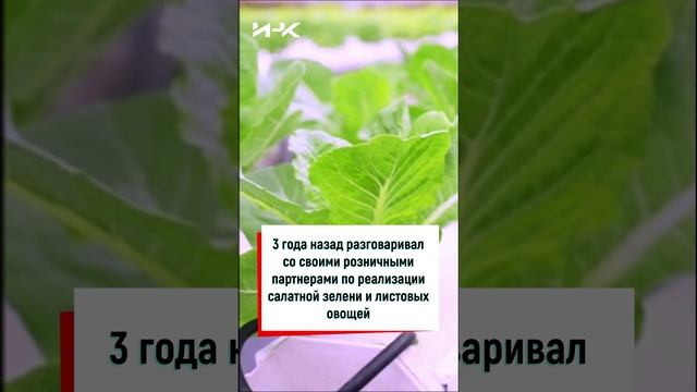 Вертикальные фермы, будущее теплиц, салат в теплице, выращивание растений с помещений, #shorts, ИНК