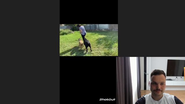 Оцениваю результат учеников из моего закрытого ТГ-канала, а также отвечаю на ваши вопросы смотреть онлайн