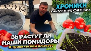 Хроники Камбоджийской жизни Вырастут ли Наши Помидоры в тропическом климате Chronicles of Cambodia