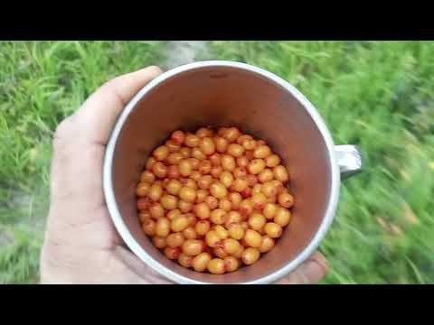 Выезд на новое место для отдыха. смотреть онлайн