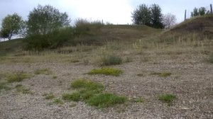 ПРОДАЕТСЯ ДОМ. Алтайский край Бийский район село Большое Енисейское