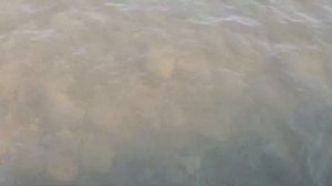 Дедеркой. Коротко об этом курорте.