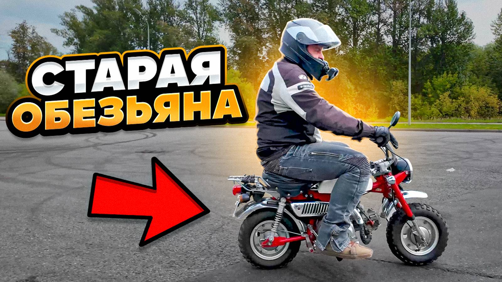 Honda Z50 Monkey: личинка мотоцикла #МОТОЦИКЛА