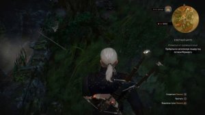 Ведьмак 3: Квест "В Волчьей Шкуре"