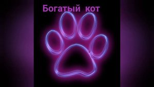 Богатый кот VS Бедный кот