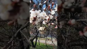 Уходя, оставьте Свет⚘☀️