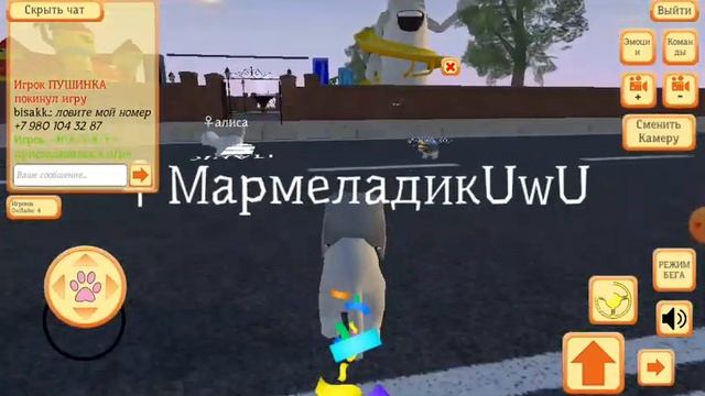 Играем в Cute Pocket Cat 3D - Part 2 смотреть онлайн