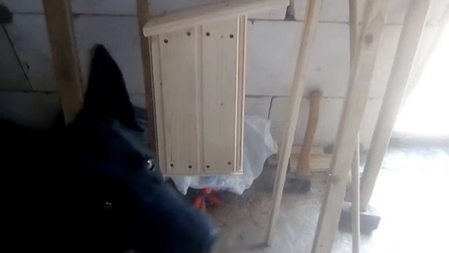 Школа/В теплице +30 и папа сделал горчицу!!! смотреть онлайн