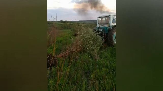 ЮМЗ корчуємо дерева смотреть онлайн