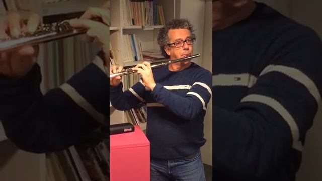 Flauta Consolat de Mar FL-5237 смотреть онлайн