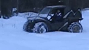 Мангуст Сафари, просто зима.wmv