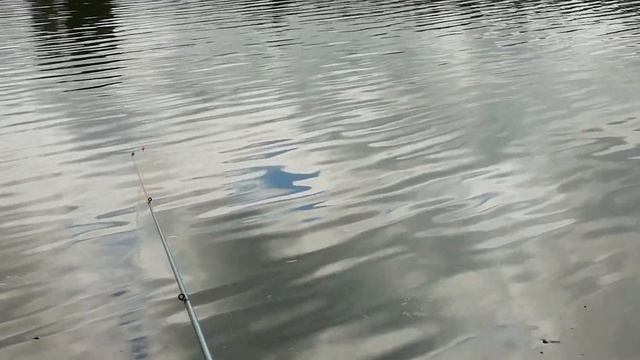 Древнее озеро, а мы ловим рыбу на кукурузу и вот результат ? смотреть онлайн