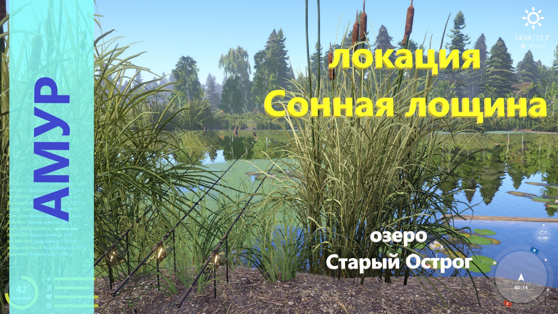 Русская рыбалка 4 - озеро Старый Острог - Амур между камышей