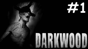 darkwood прохождение # начало [1]