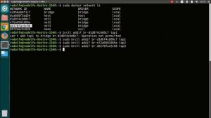 Bridges con Docker y Modo Router en Linux