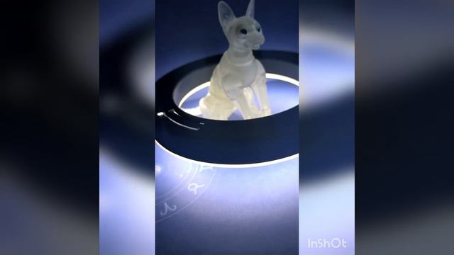 bjd doll sphinx cat clear calor collection БЖД кукла кошка сфинс шарнирная прозрачная рукоделие DIY