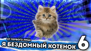 Я БЕЗДОМНЫЙ КОТЕНОК. От первого лица. Серия 6