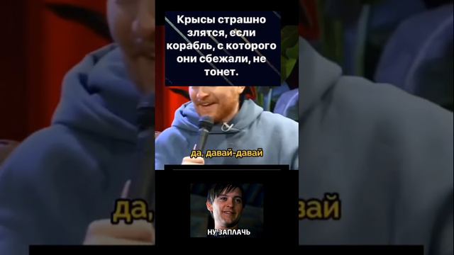 типичный либераст